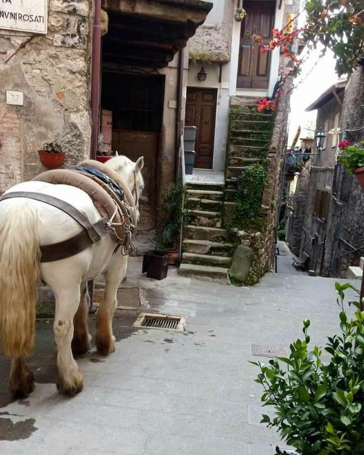 Casetta Nel Borgo Olevano Romano Luaran gambar