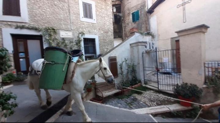 Casetta Nel Borgo Olevano Romano Luaran gambar