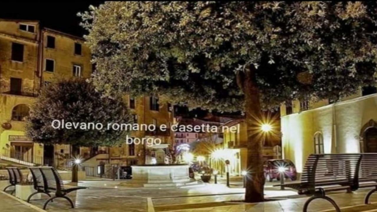 Casetta Nel Borgo Olevano Romano Luaran gambar